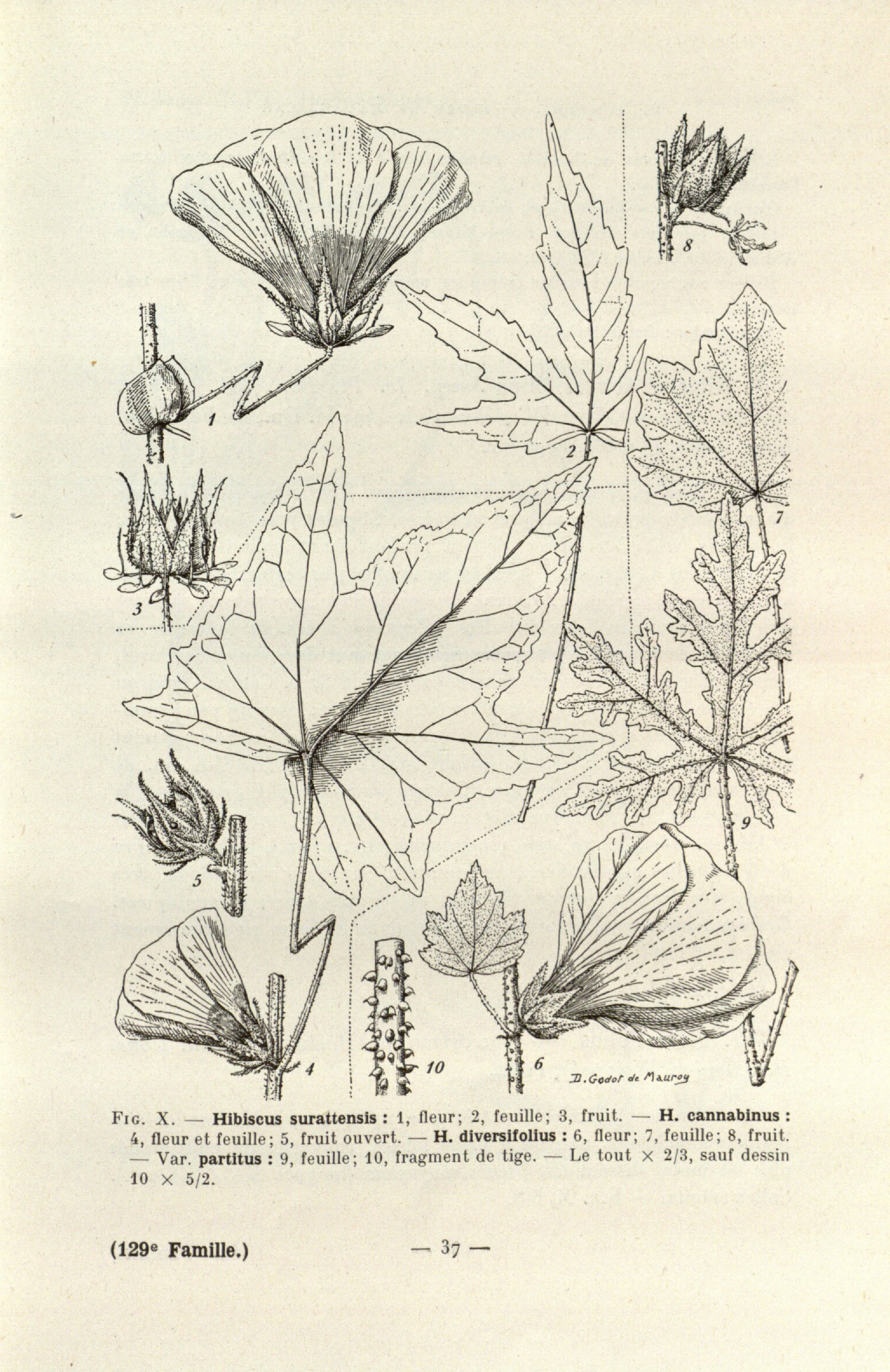 no full size  illustration available (3a)