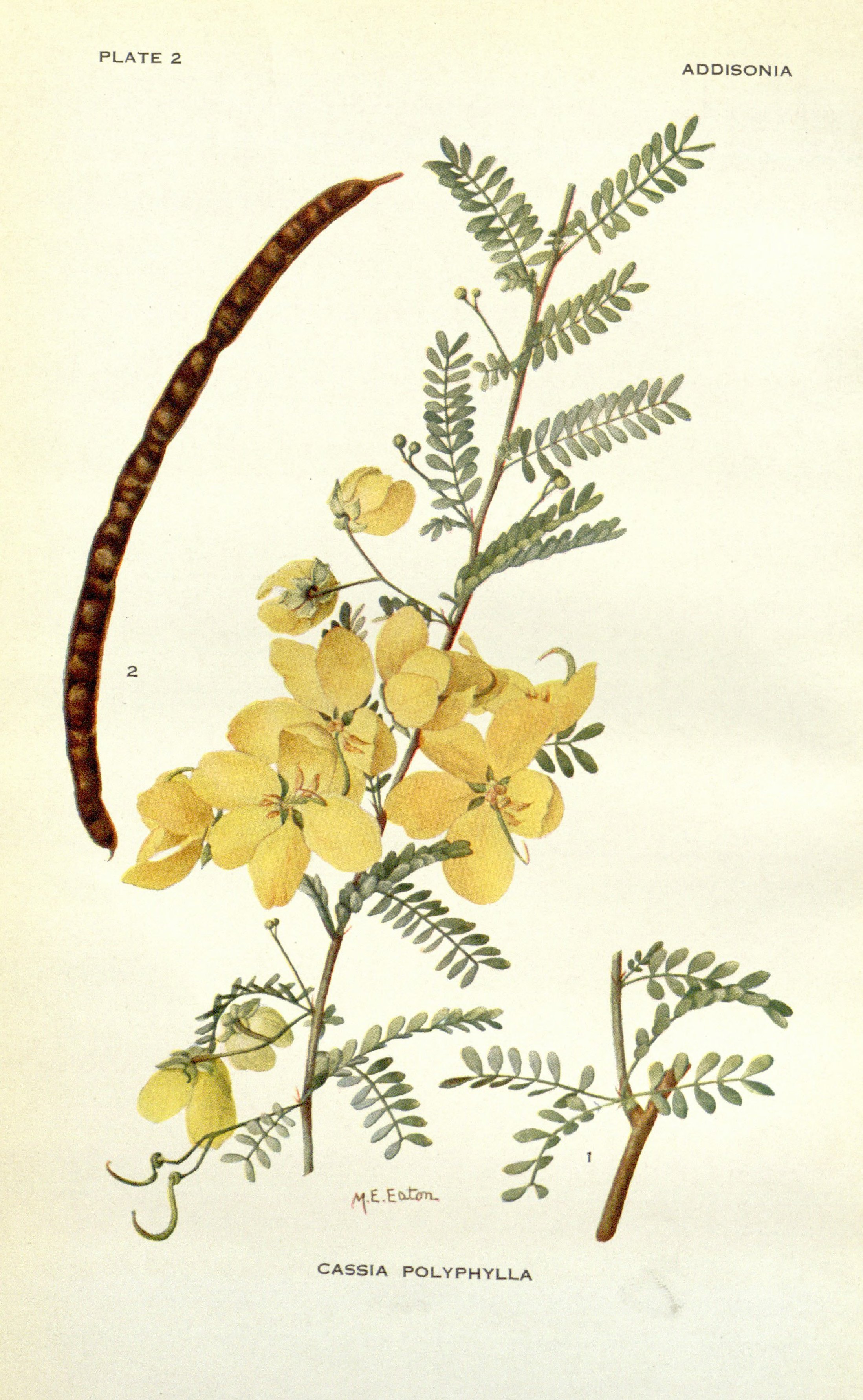 no full size  illustration available (3a)