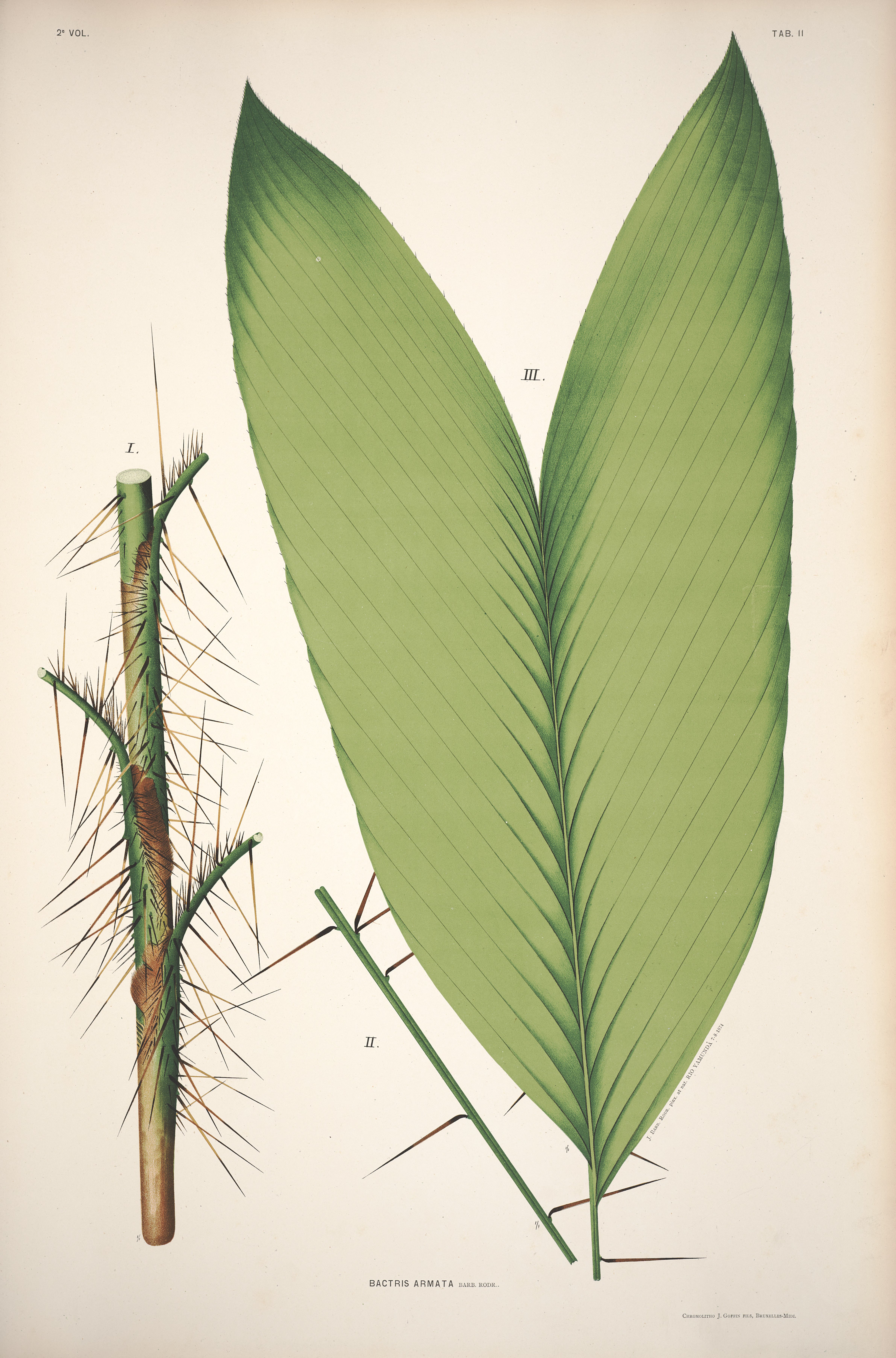 no full size  illustration available (3a)