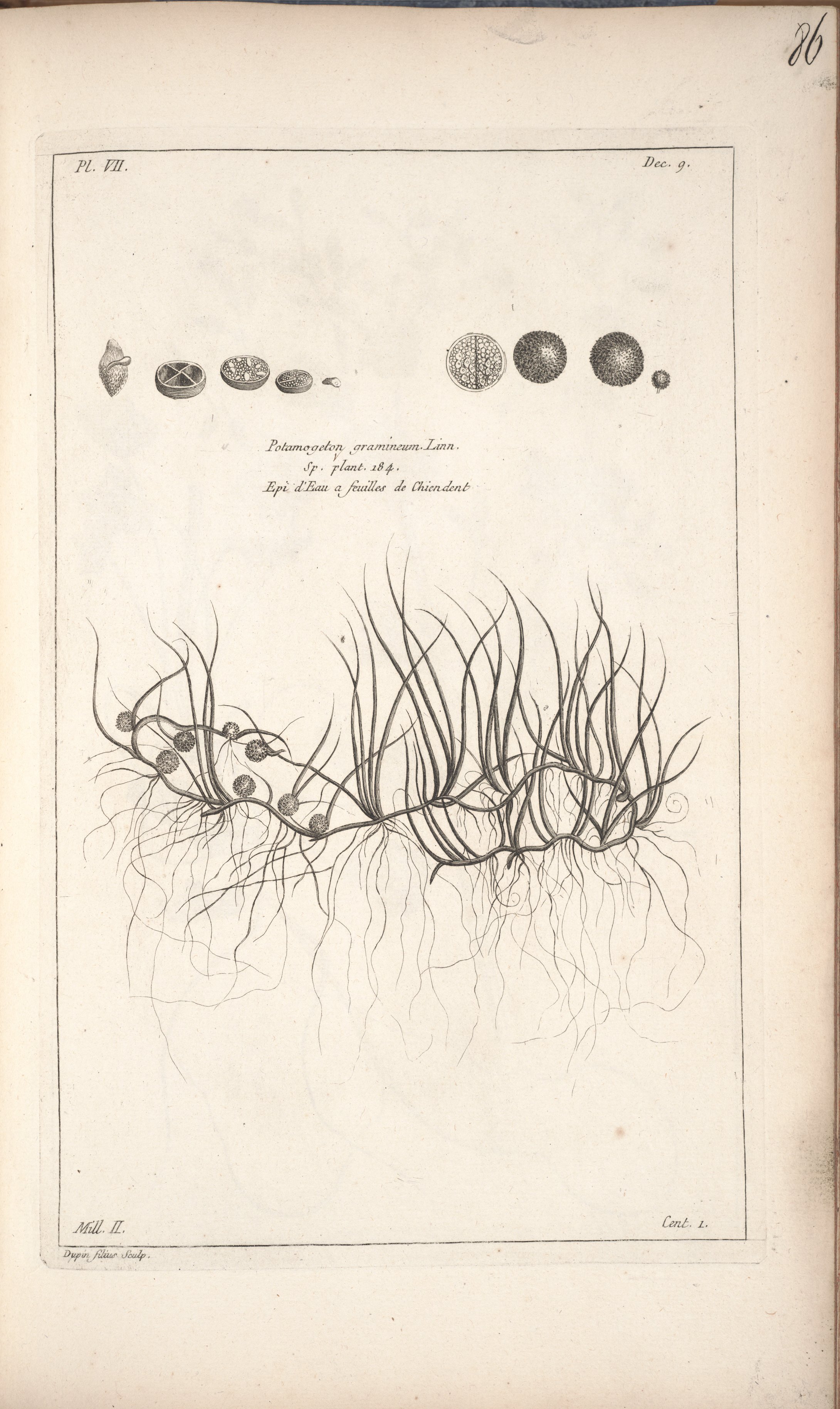 no full size  illustration available (3a)