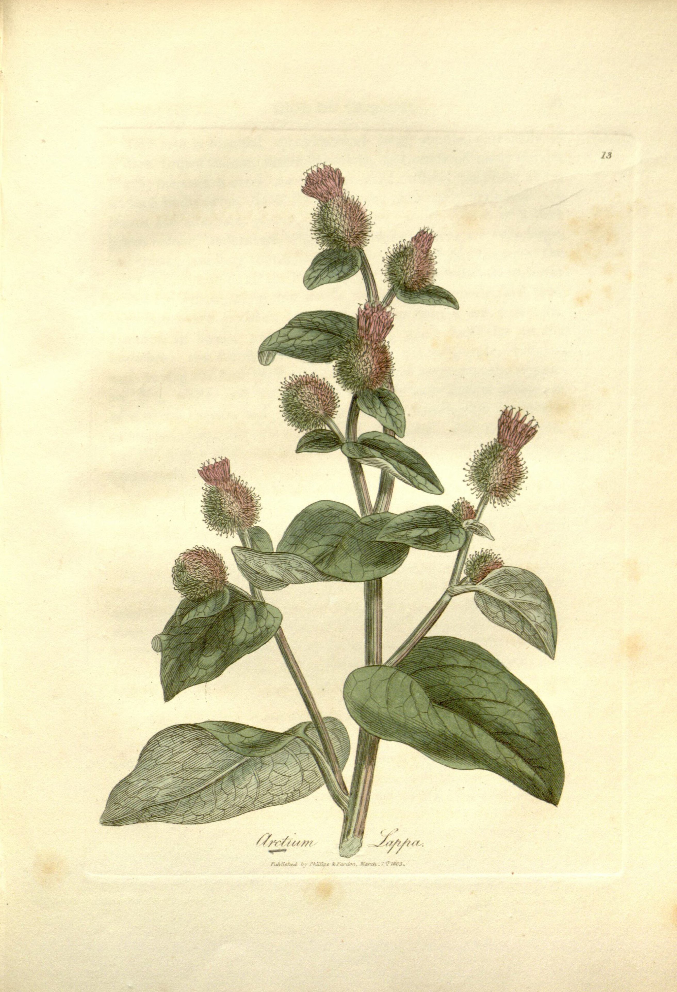 no full size  illustration available (3a)