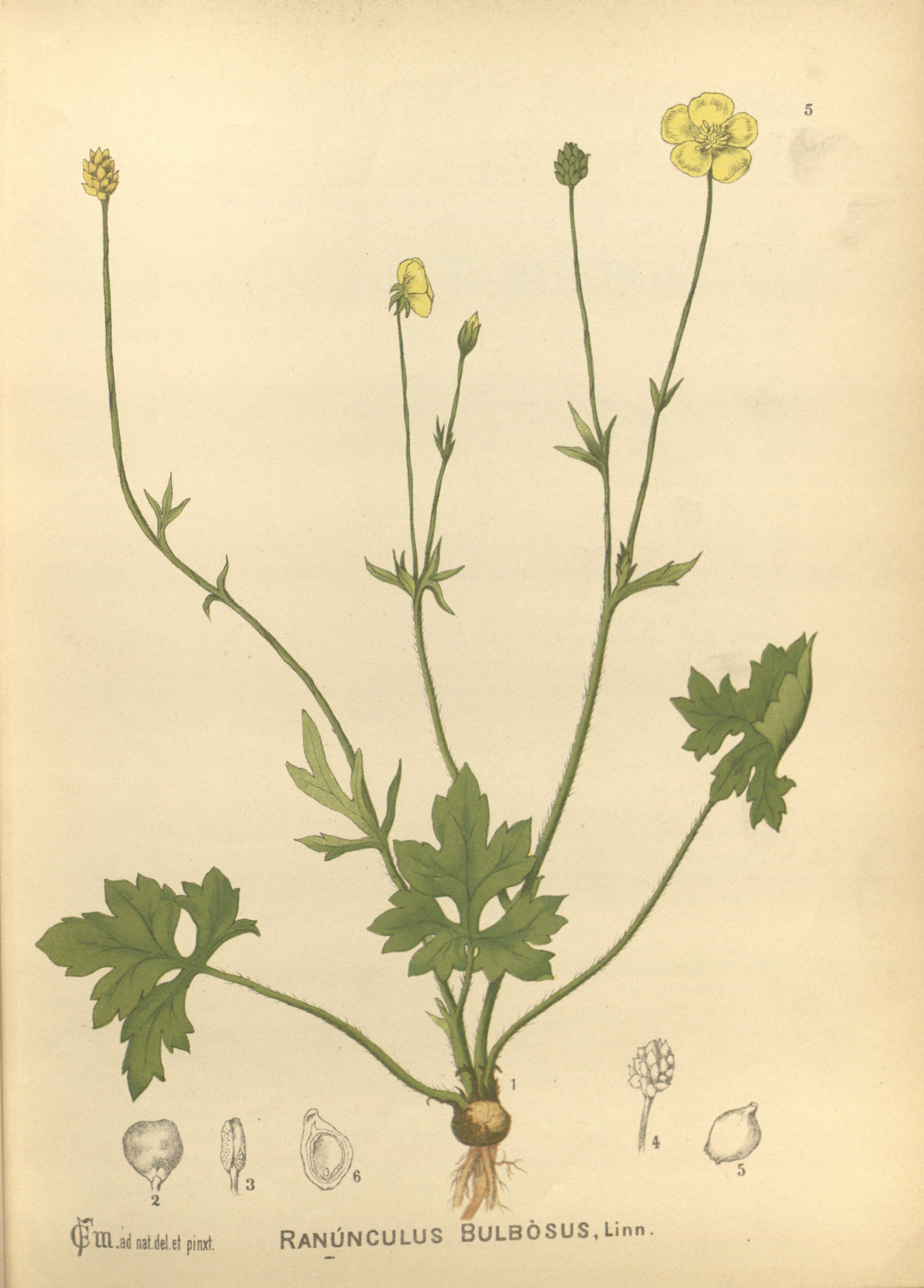 no full size  illustration available (3a)