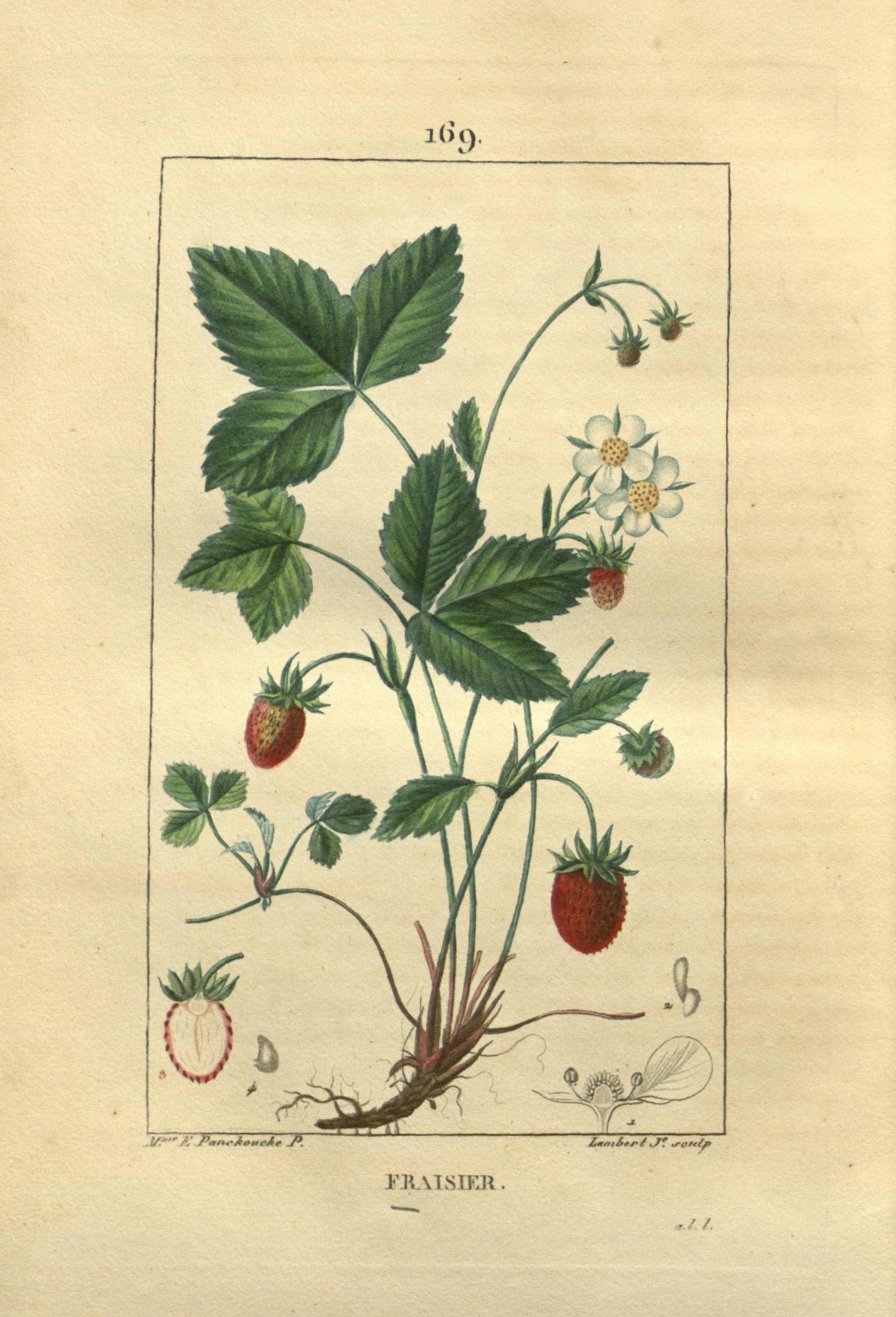 no full size  illustration available (3a)