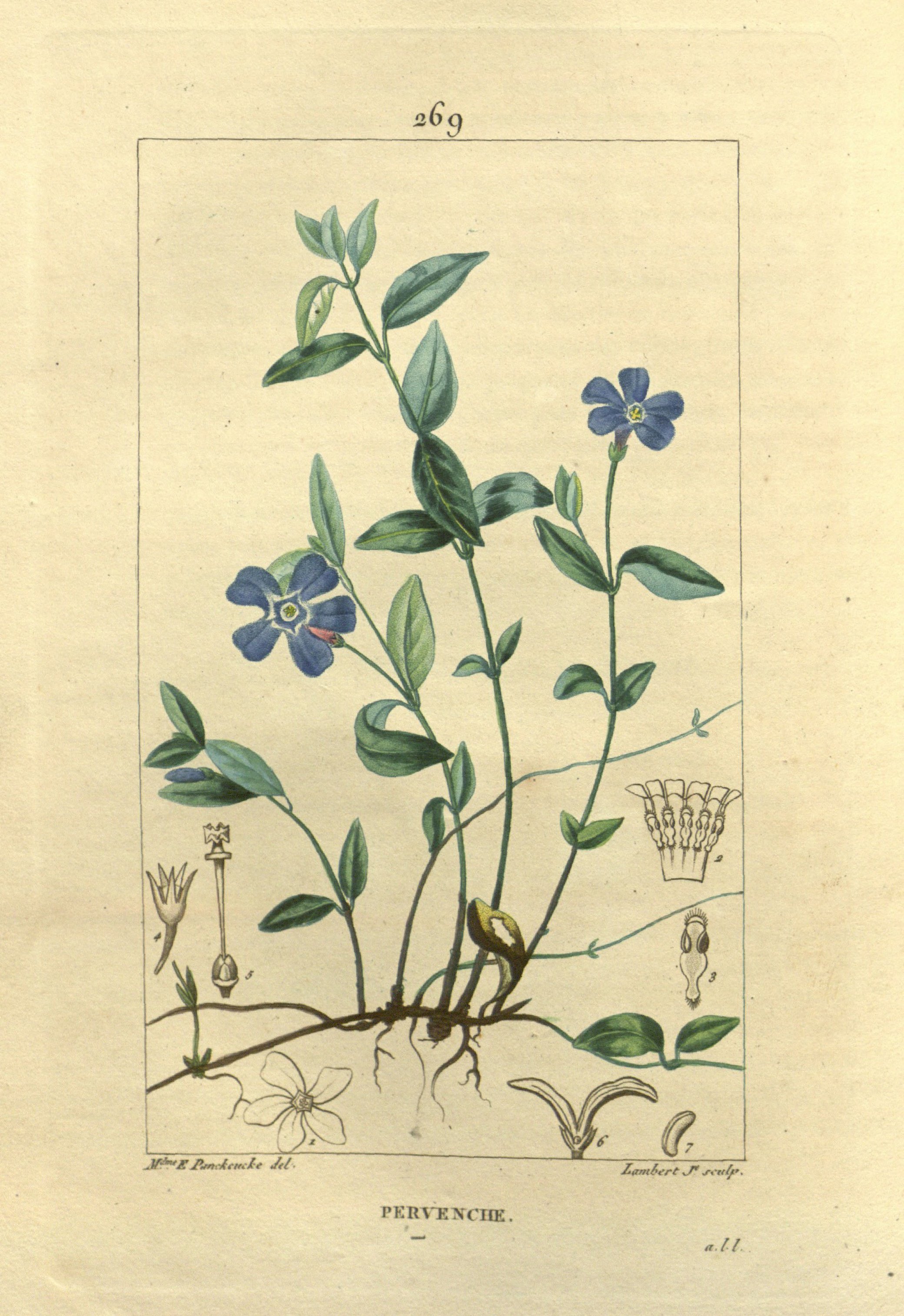 no full size  illustration available (3a)