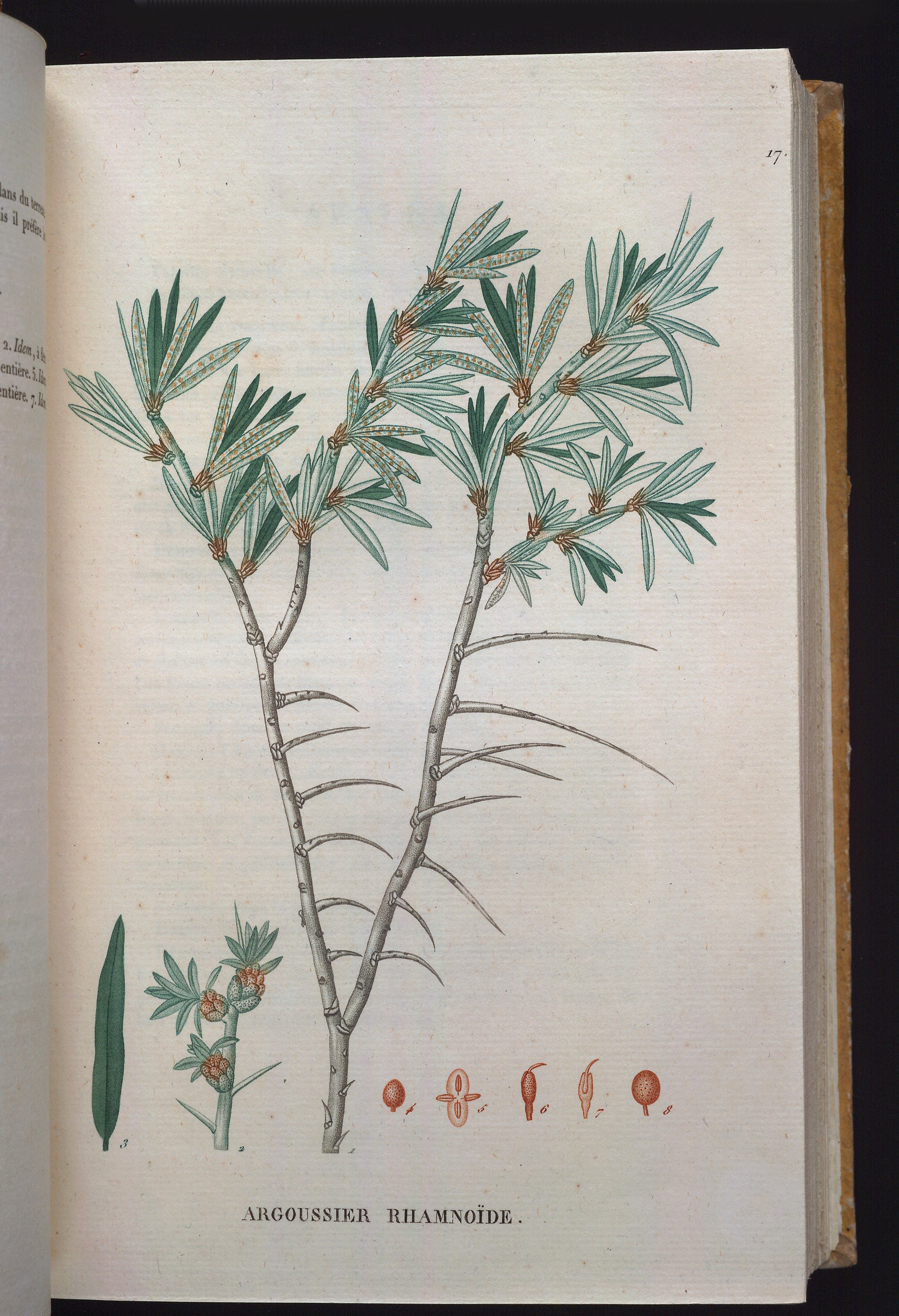 no full size  illustration available (3a)