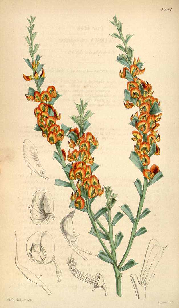 no HD illustration available (3)