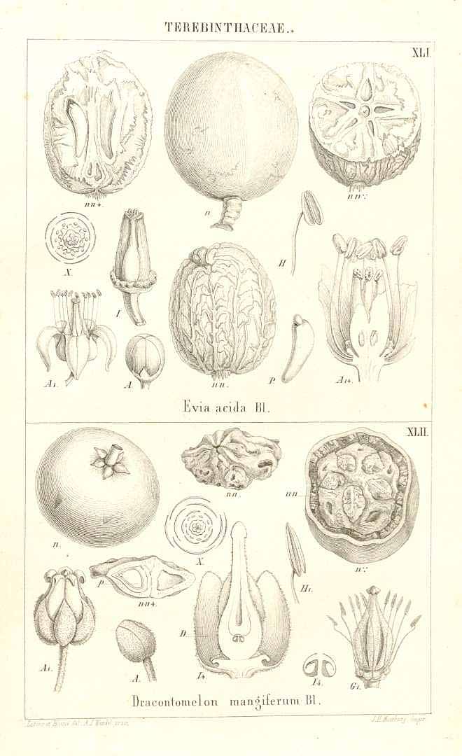 no HD illustration available (3)