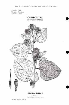 no HD illustration available (3)