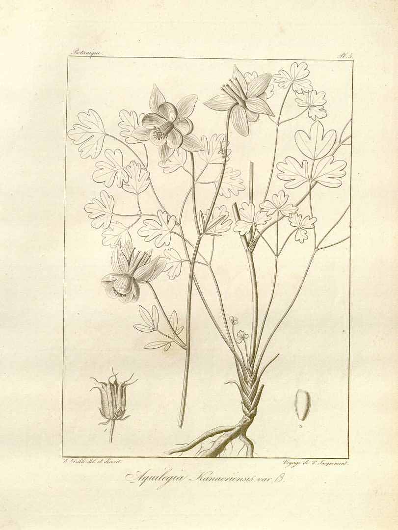 no HD illustration available (3)