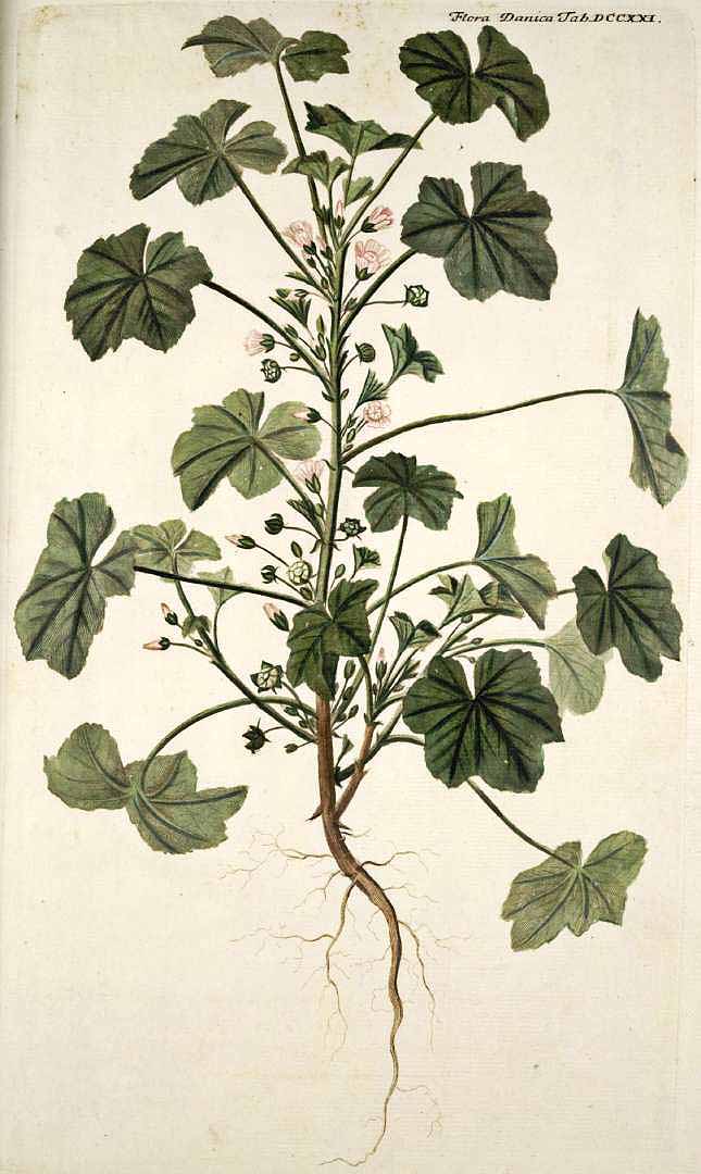 no HD illustration available (3)