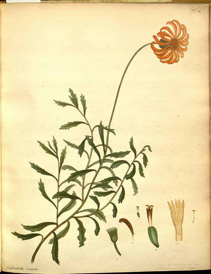 no HD illustration available (3)