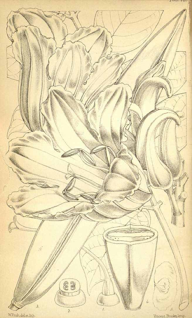 no HD illustration available (3)