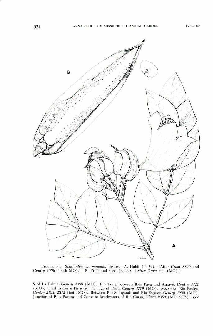 no HD illustration available (3)