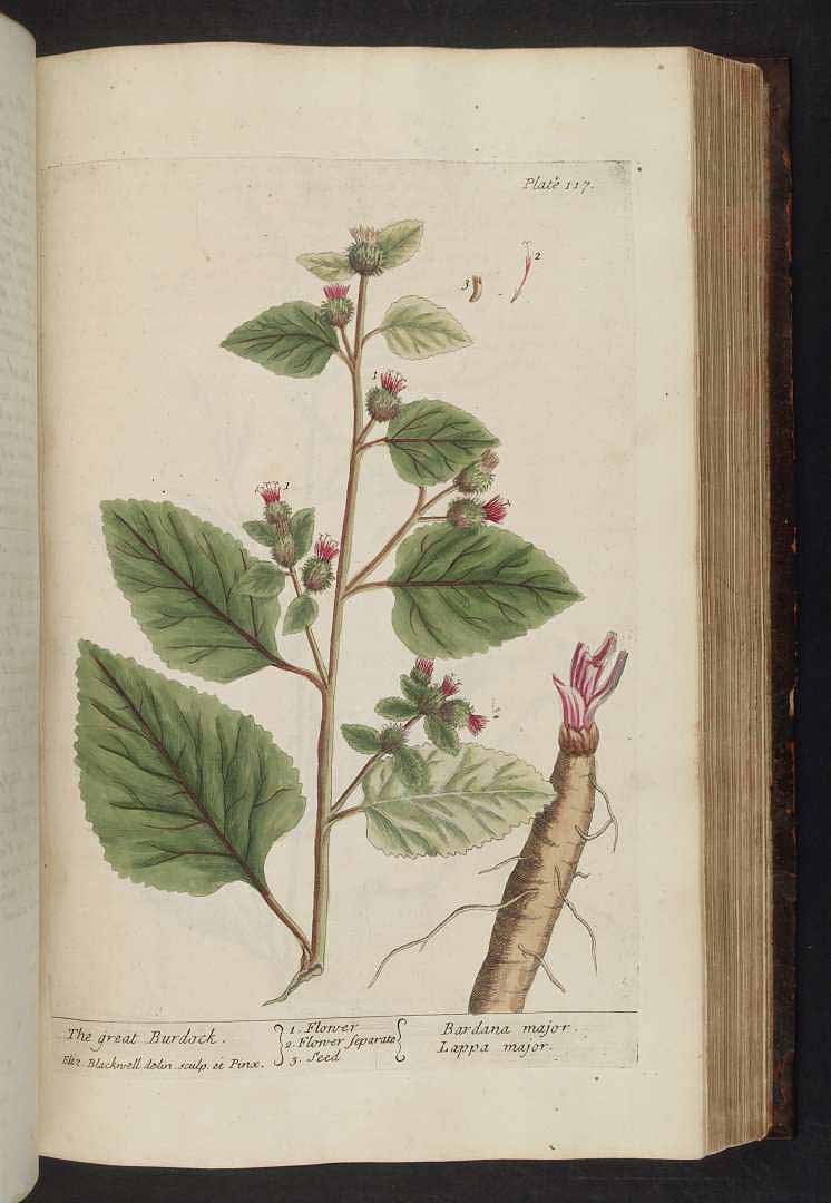 no HD illustration available (3)