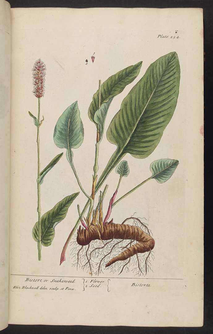 no HD illustration available (3)