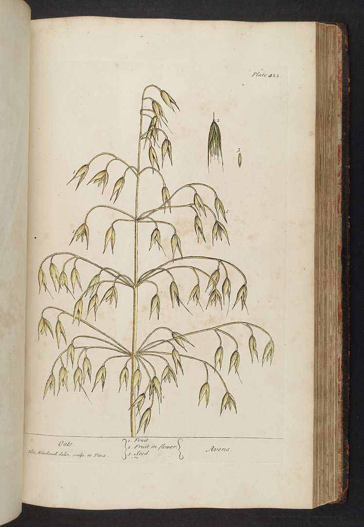 no HD illustration available (3)