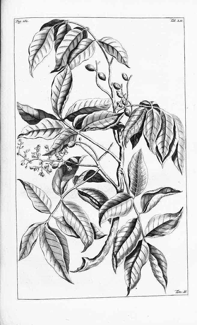 no HD illustration available (3)