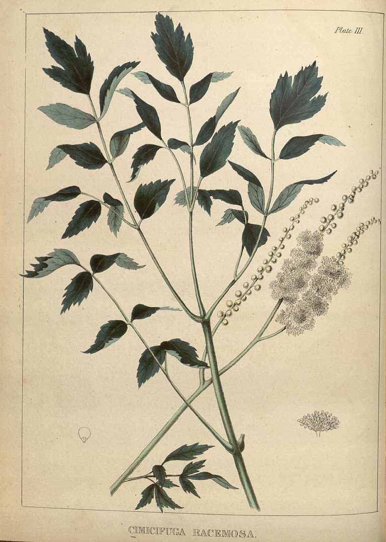 no HD illustration available (3)