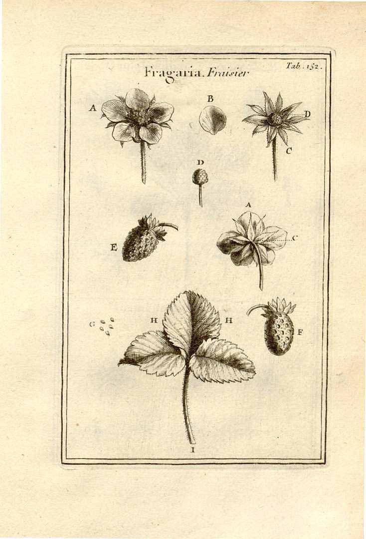 no HD illustration available (3)