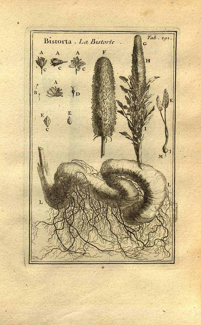 no HD illustration available (3)