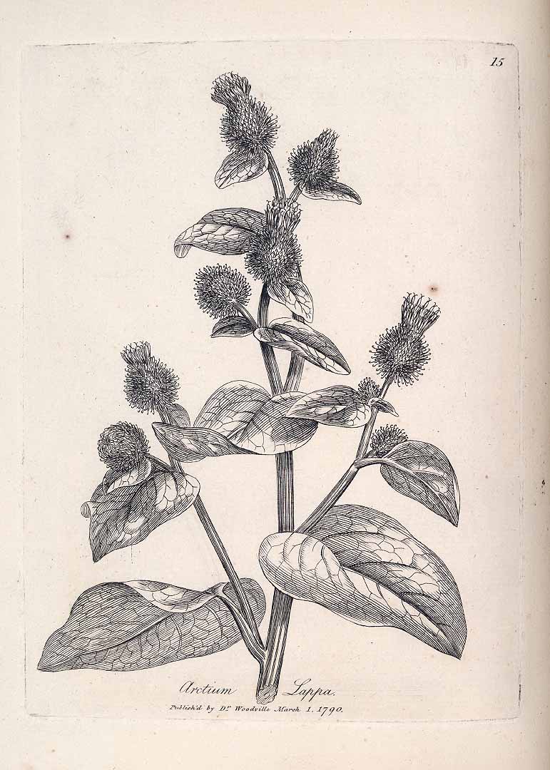 no HD illustration available (3)