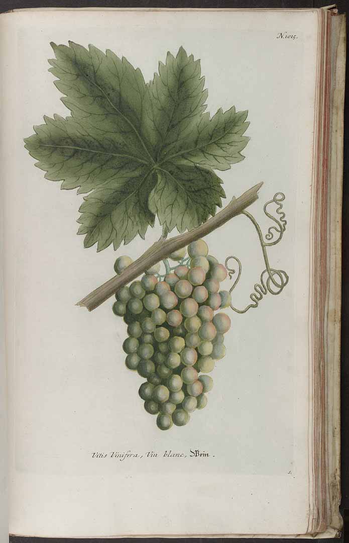 no HD illustration available (3)