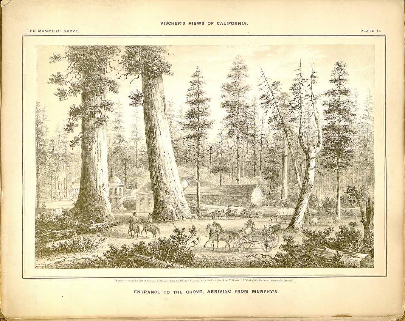 no HD illustration available (3)