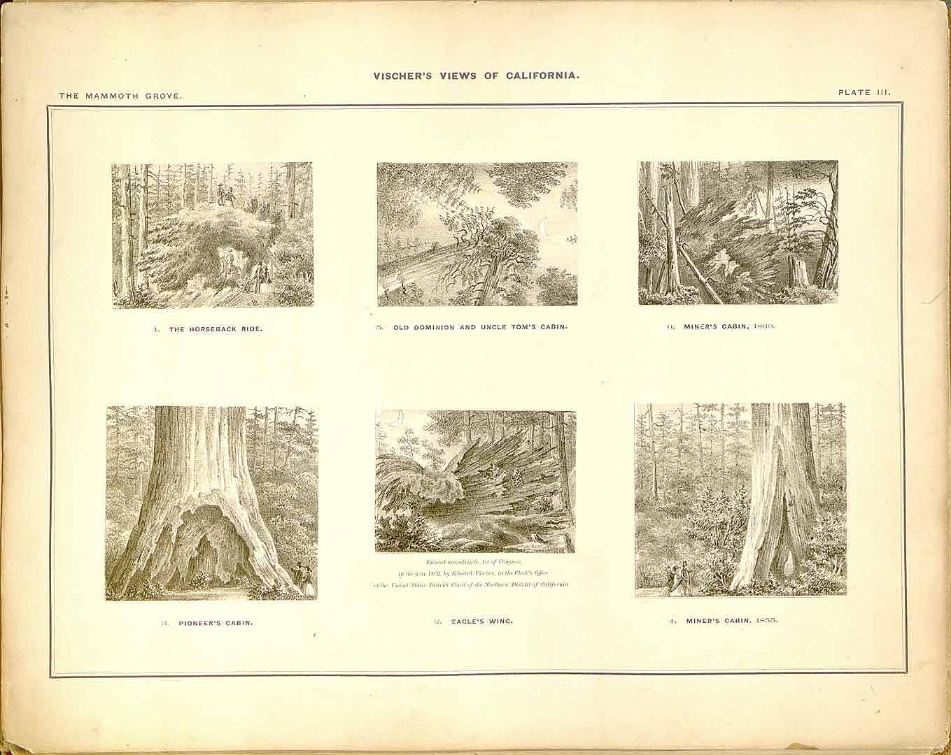 no HD illustration available (3)