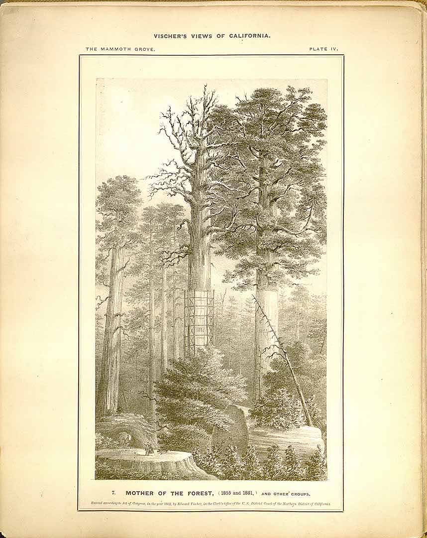 no HD illustration available (3)