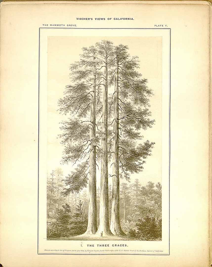 no HD illustration available (3)