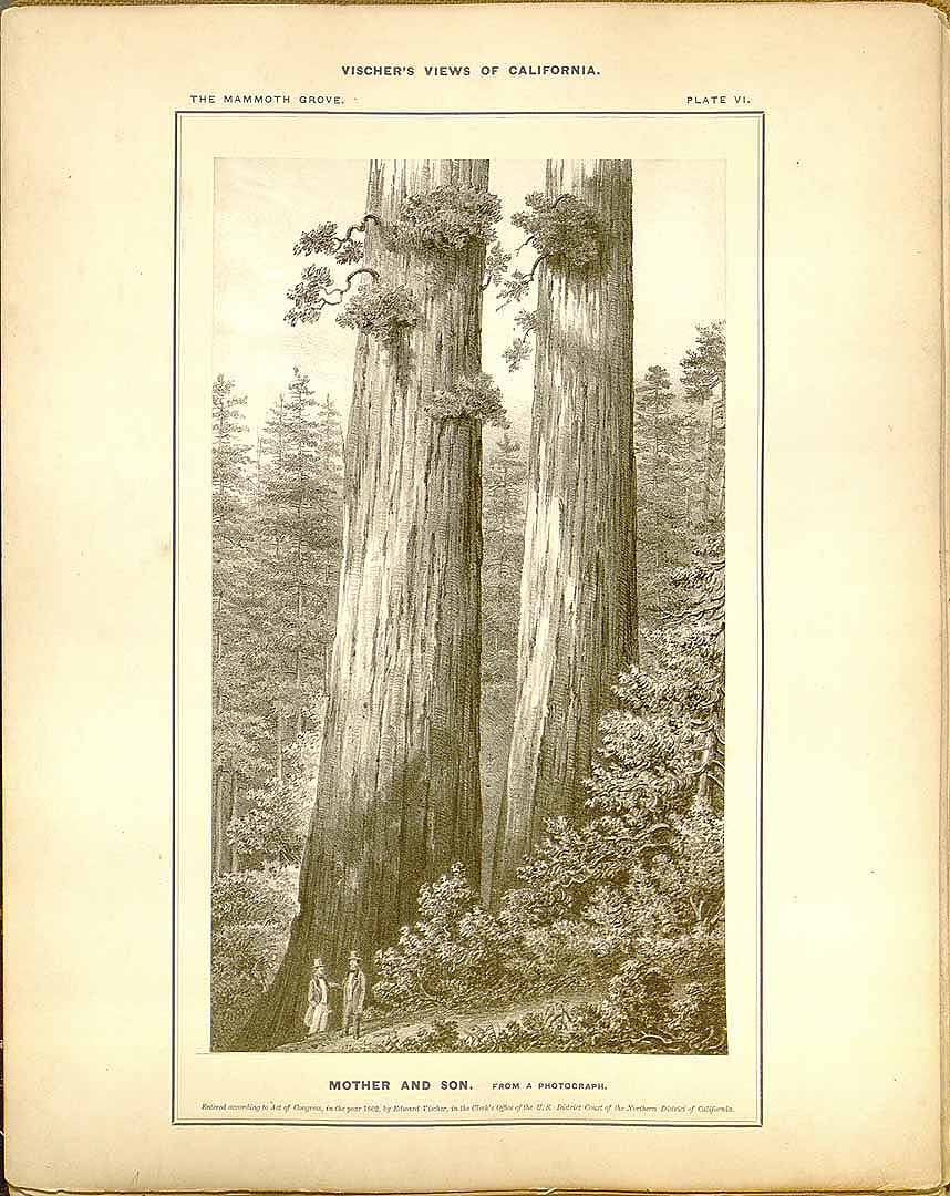 no HD illustration available (3)