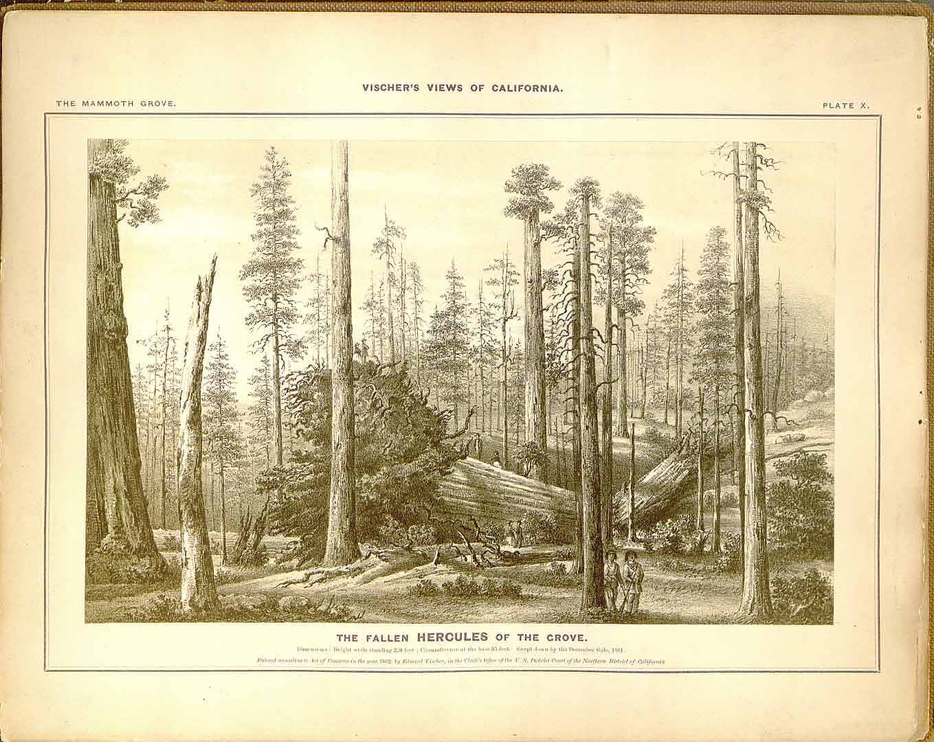 no HD illustration available (3)