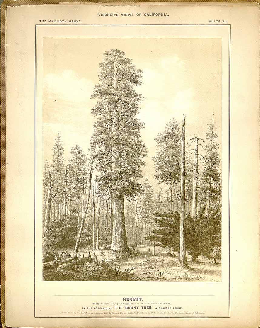 no HD illustration available (3)