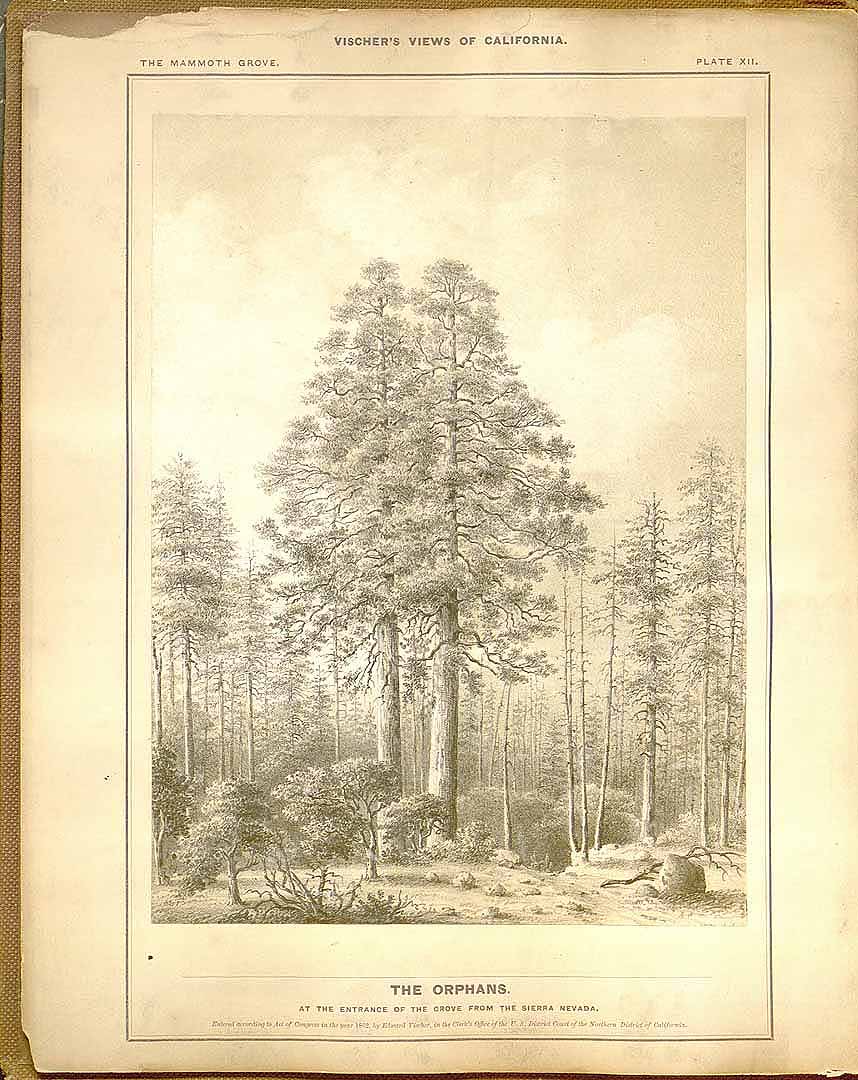 no HD illustration available (3)