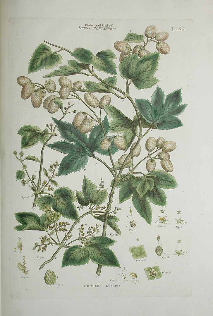 no HD illustration available (3)