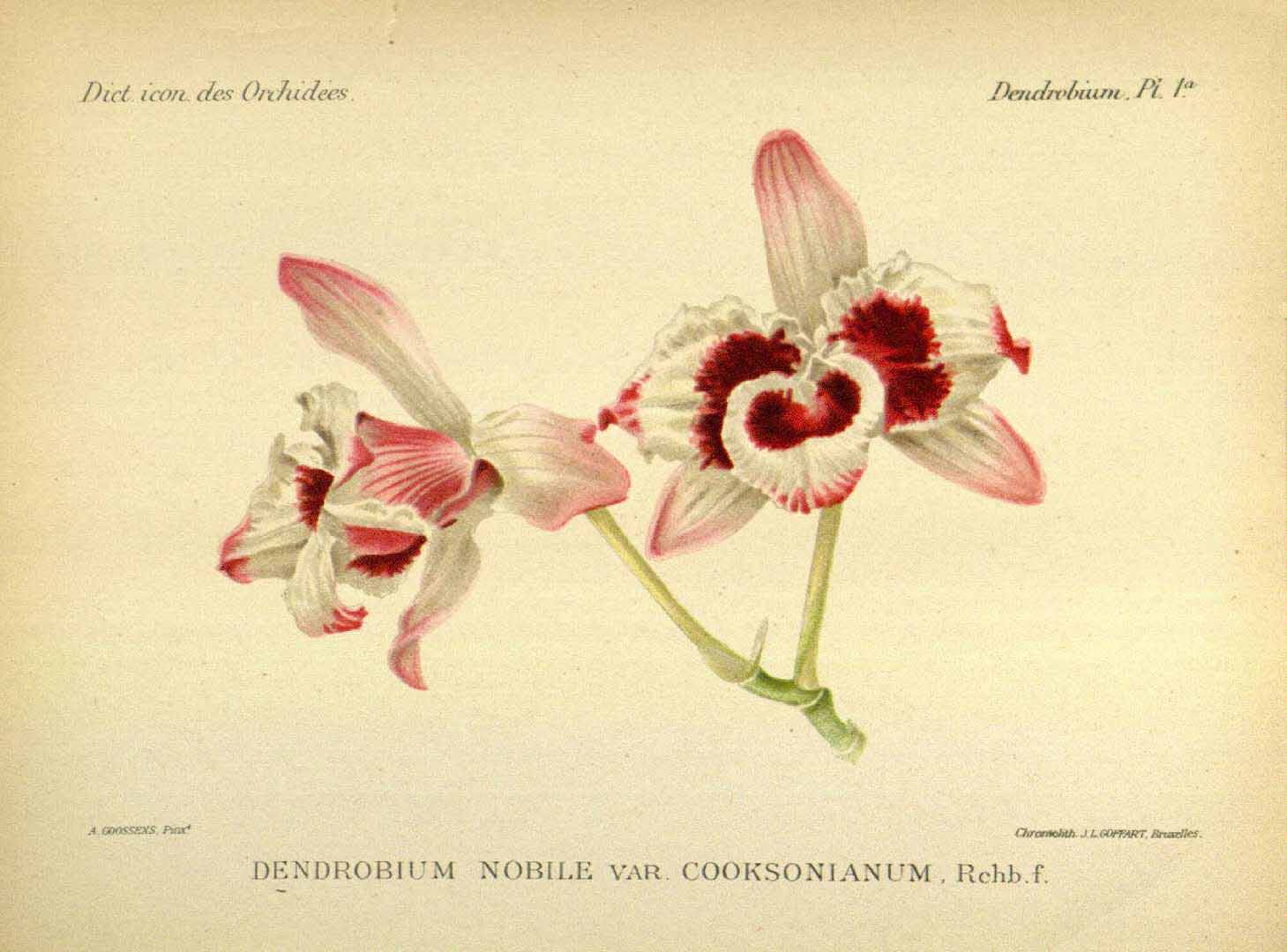 no HD illustration available (3)