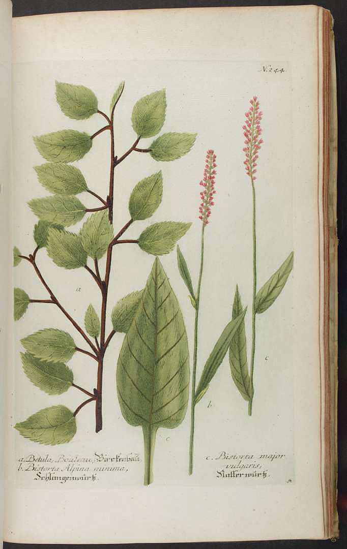 no HD illustration available (3)