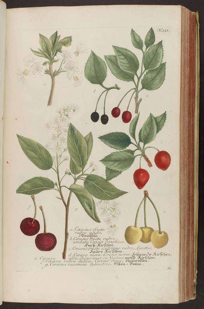 no HD illustration available (3)