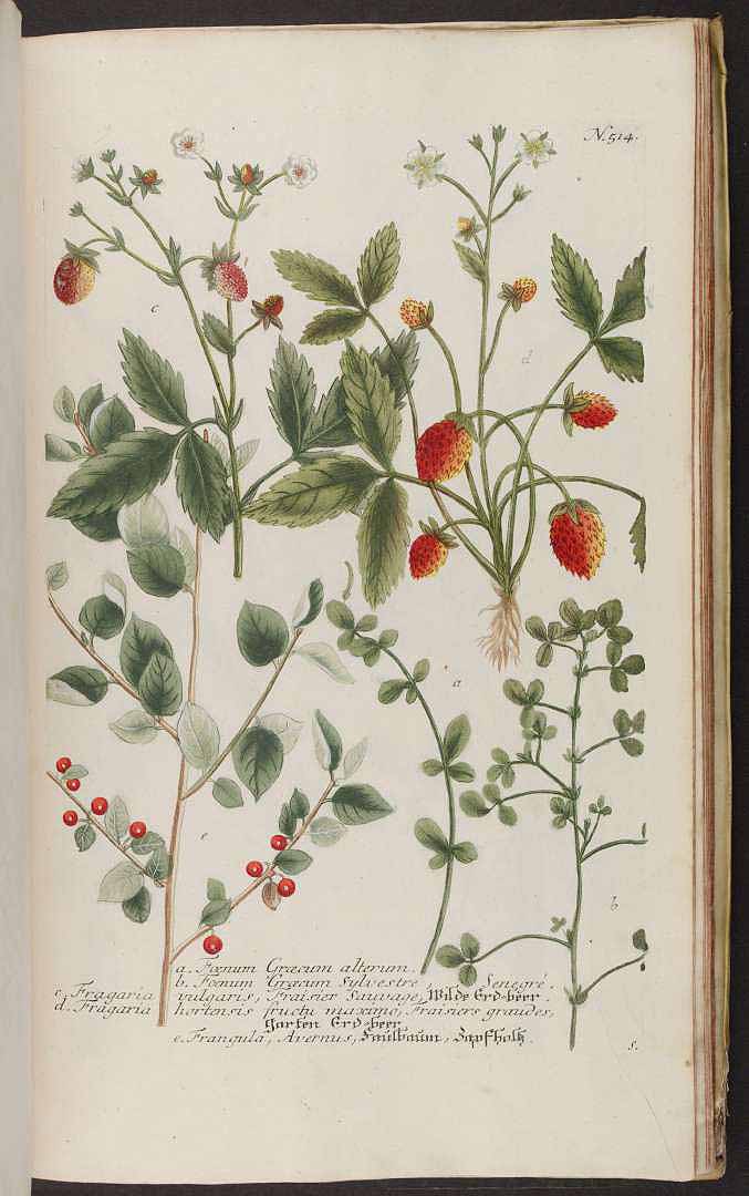 no HD illustration available (3)