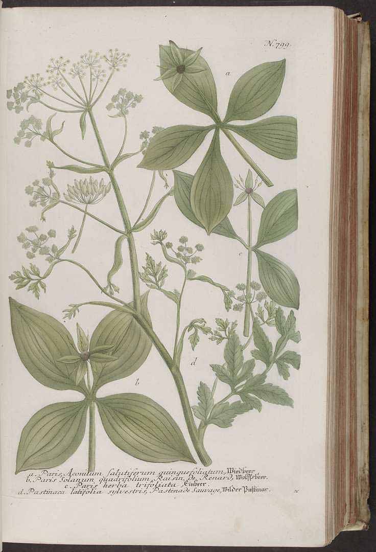 no HD illustration available (3)