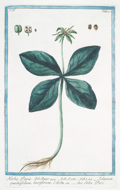 no HD illustration available (3)