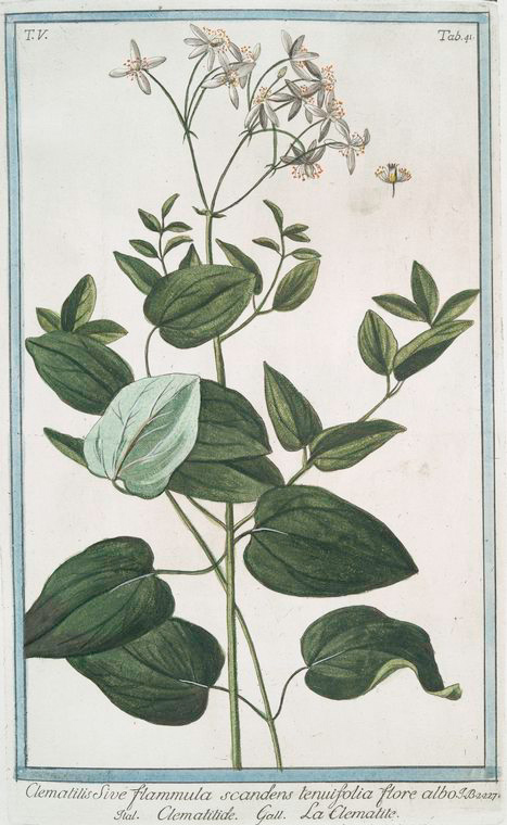 no HD illustration available (3)