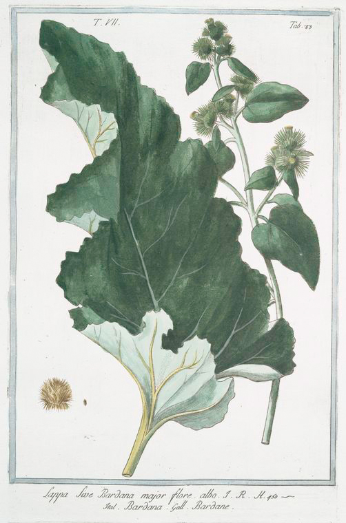 no HD illustration available (3)