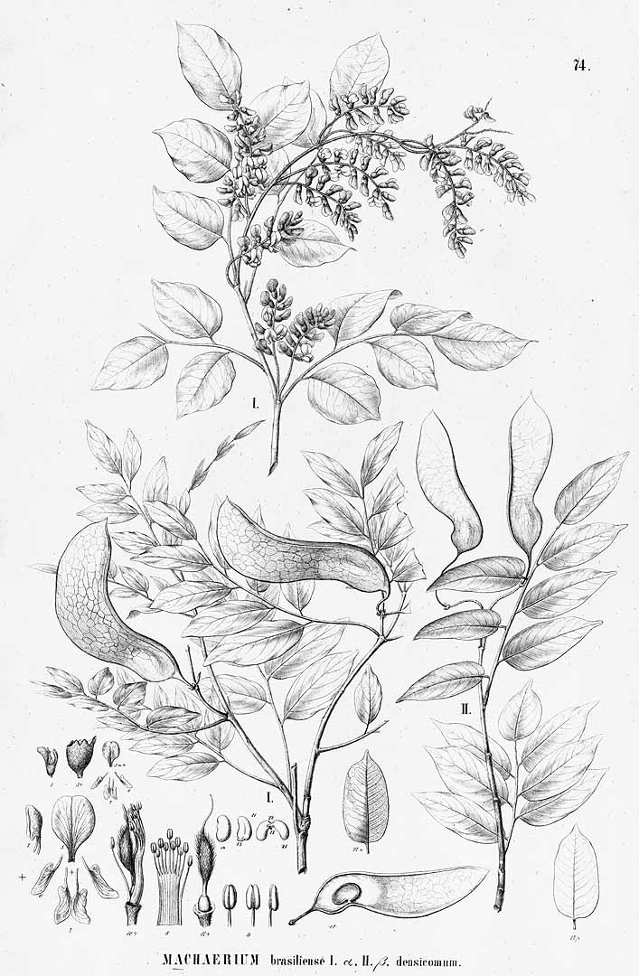 no HD illustration available (3)