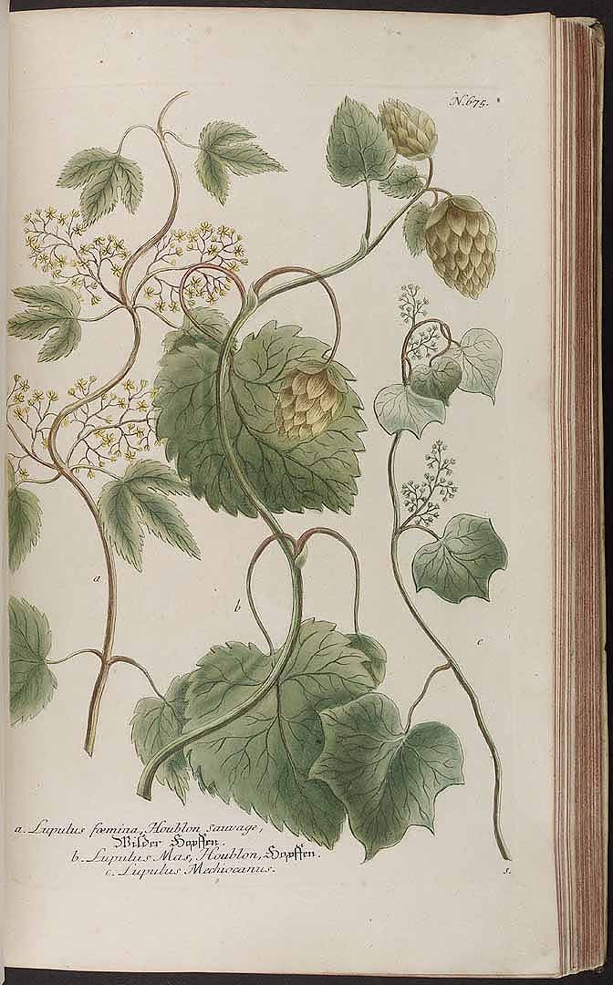 no HD illustration available (3)