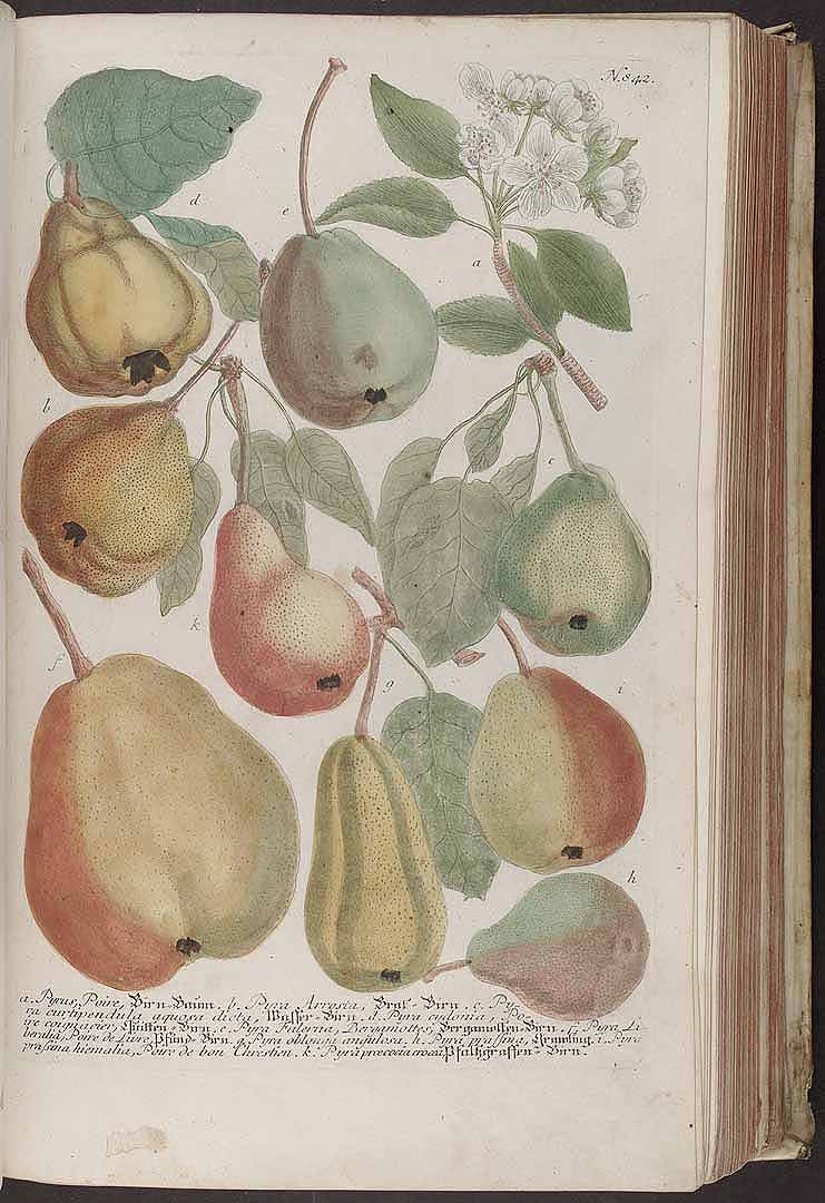 no HD illustration available (3)