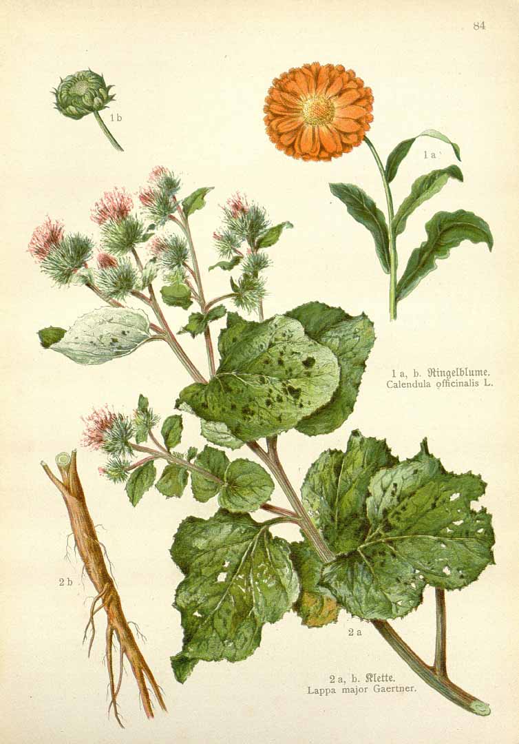 no HD illustration available (3)