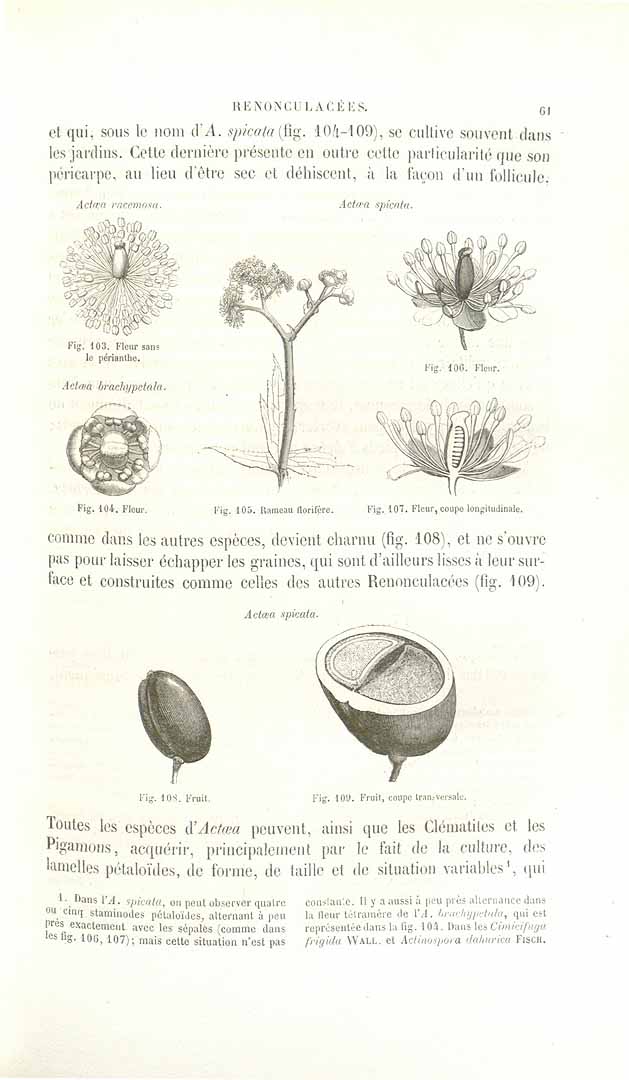 no HD illustration available (3)