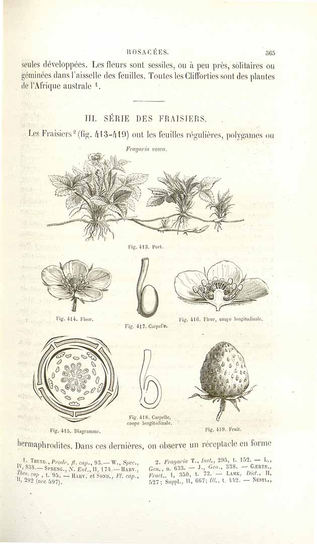 no HD illustration available (3)