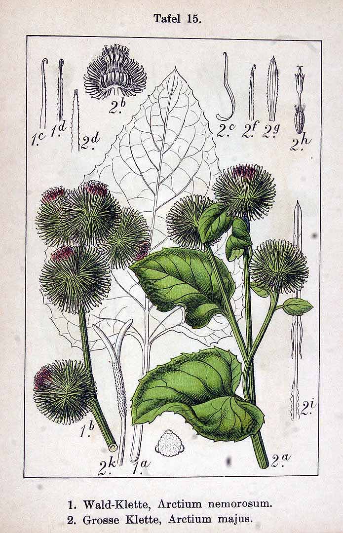 no HD illustration available (3)